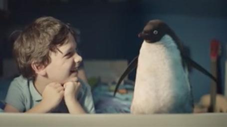 video virale bambino pinguino john lewis