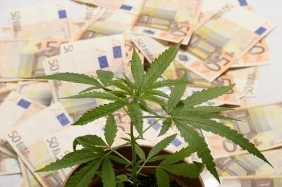 MARIJUANA - Ecco le 3 sostanze tossiche con cui la mafia 