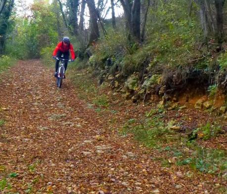 #mtb #21112014 #foglie #autunno #forte #castelletto #baltieri