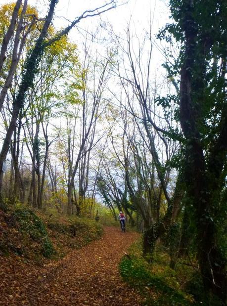 #mtb #21112014 #foglie #autunno #forte #castelletto #baltieri