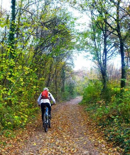 #mtb #21112014 #foglie #autunno #forte #castelletto #baltieri