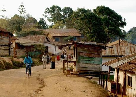 Usambara-mountains