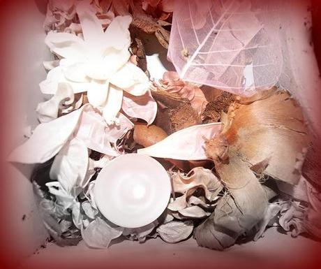 ARREDARE CON I FIORI ARREDARE CON I FIORI