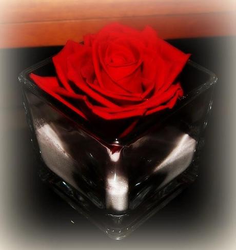 CREDO NELLA COLLABORAZIONE CREDO NELLA COLLABORAZIONE