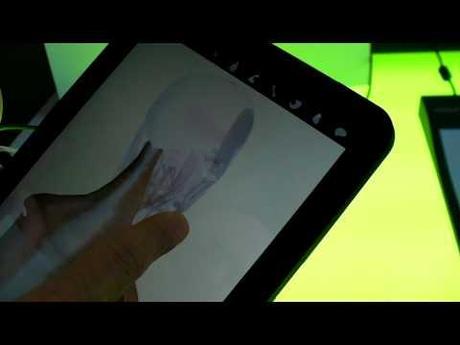 programmi Google Body disponibile per tablet con Android Honeycomb 3.0 0 Google Body disponibile per tablet con Android Honeycomb 3.0