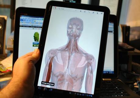 Google-Body Google Body Google Body disponibile per tablet con Android Honeycomb 3.0