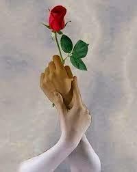 TROPPO IN FRETTA. TROPPO IN FRETTA.