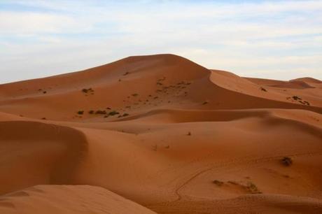 Deserto del Sahara - Marocco