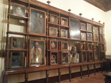 Museo Storico Nazionale dell'Arte Sanitaria