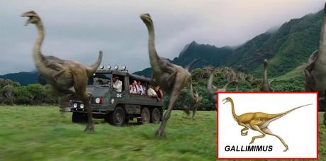 GALLIMIMUS