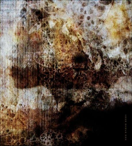 10485486_10204895798182136_4001557416231675999_o 10485486_10204895798182136_4001557416231675999_o