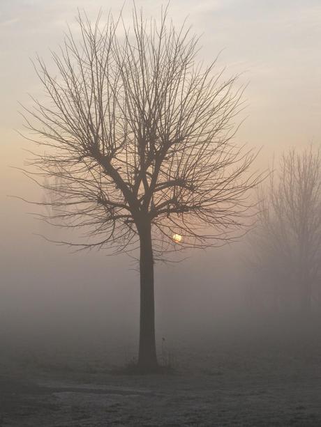Nebbia in val Padana? Non più col riscaldamento globale