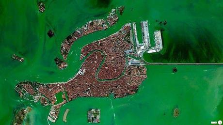 Daily Overview  Venice