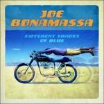 JOE BONAMASSA DIFFERENT SHADES OF BLUE
