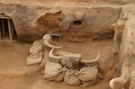 Archeologia. Iran: scoperto un villaggio in mattoni a 3000 metri di altezza, datato 8000 a.C.