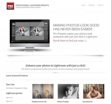 Pro Presets Professional Lightroom Presets 643x601