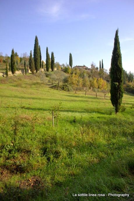 [My life] Natale al Poggio