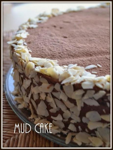 Mud cake