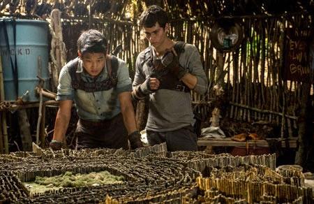 MAZE RUNNER - IL LABIRINTO DEI RAGAZZI CASTRATI