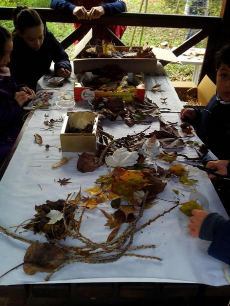 La Festa degli Alberi. Oasi Airone Rosso Desenzano