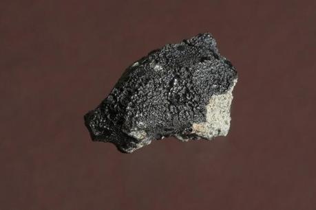 Un campione del meteorite Tissint, caduto in Marocco il 18 luglio del 2011. Potrebbe nascondere il segreto della vita su Marte. Crediti: Alain Herzog/École polytechnique fédérale de Lausanne