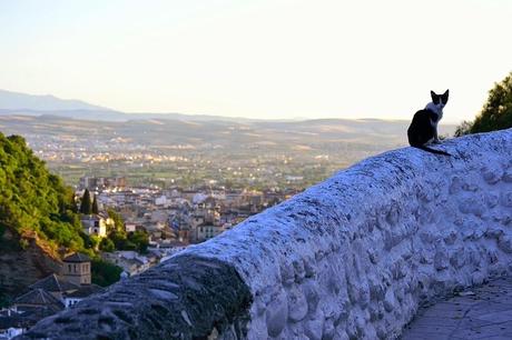 (it) In love with Granada - Part 2: Historical Granada & Neja's cave