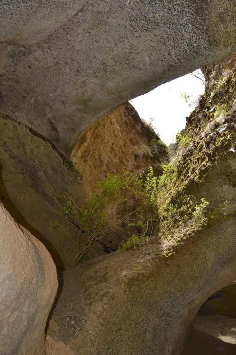 (it) Los Arcos canyon, Tenerife.