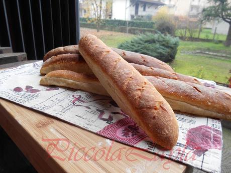 baguette francesi (11)b