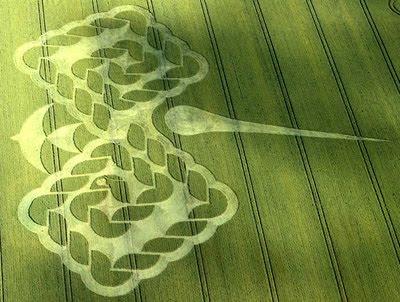 Migliori crop circles del 2009