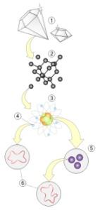 La fisica quantistica nell’antichità