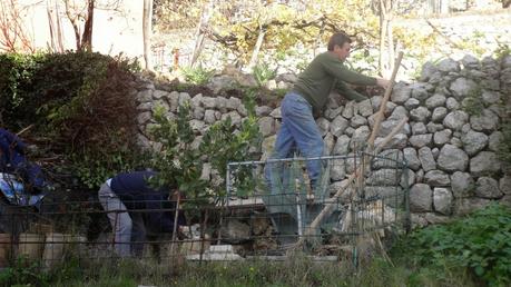 Il costruttore di macere (muri a secco, senza malta). Il costruttore di macere (muri a secco, senza malta).