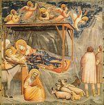 Natività di Giotto