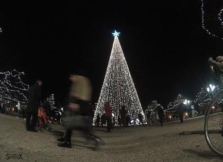 Passeggiamo per Padova, pronta per il Natale!