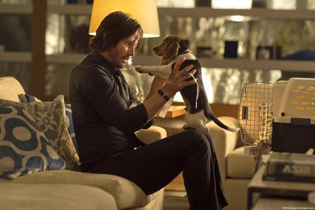 JOHN WICK