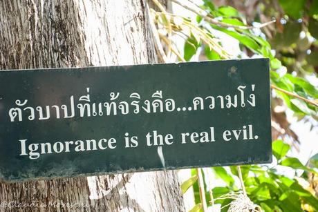 5 cose da fare (assolutamente) a Chiang Mai