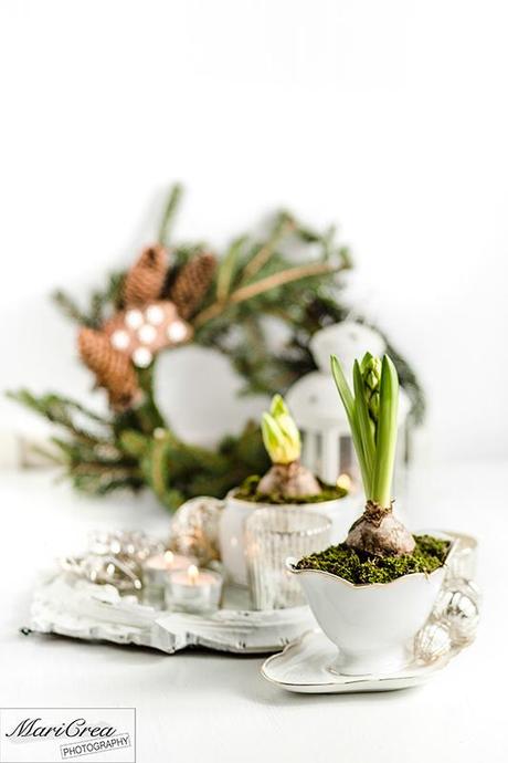 Christmas Mari Crea Photography