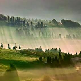 ALMENO UN SORRISO…Costantino Posa ALMENO UN SORRISO…Costantino Posa