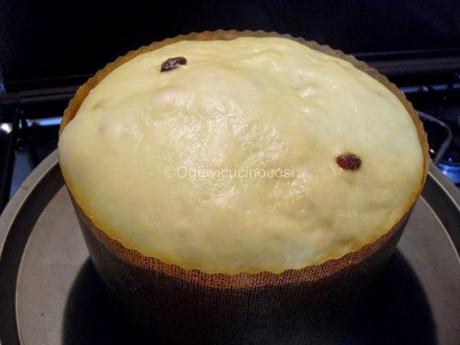 Panettone con Pere e Gocce di Cioccolato