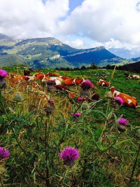 Monte Baldo