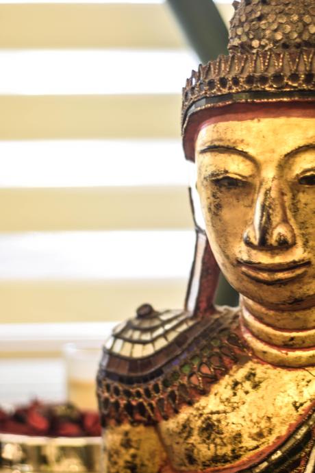 La mia mattina con THEO DSC_2602