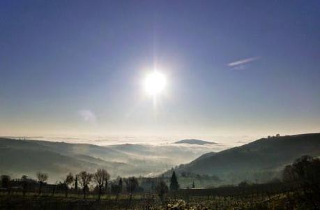 #mtb #21122014 #zuccherofilato #sole #ferrazze