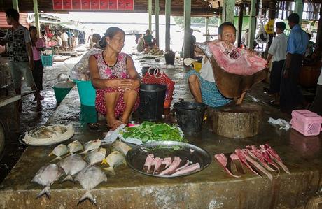 Mercati di pesce e di riso