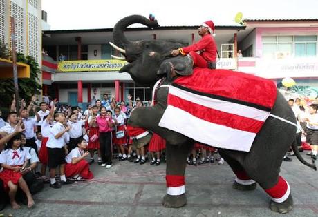 Ecco uno scenario di cui faremmo volentieri a meno...un elefante (e il suo conduttore) vestiti da Babbo Natale in una scuola della provincia di Ayutthaya in Thaila