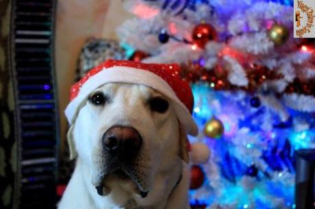 Buon Natale Zaino in spalla