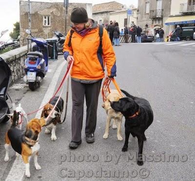 Napoleone : Buon Natale ai miei amici cani....del Pastiniello e Positano