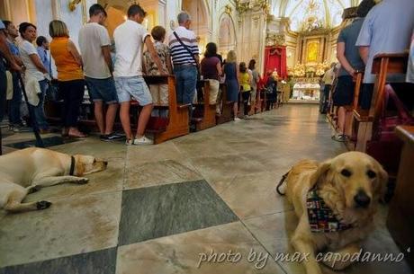 Napoleone : Buon Natale ai miei amici cani....del Pastiniello e Positano