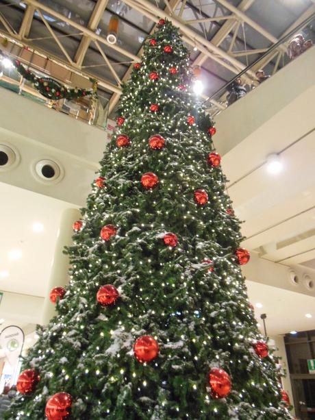 Bianco Natale Xmas songs and some Xmas trees. La canzone Bianco Natale e gli alberi di Natale. -