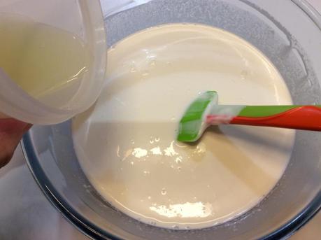 PANNA ACIDA /home/wpcom/public_html/wp-content/blogs.dir/8bc/60500751/files/2014/12/img_18671.jpg