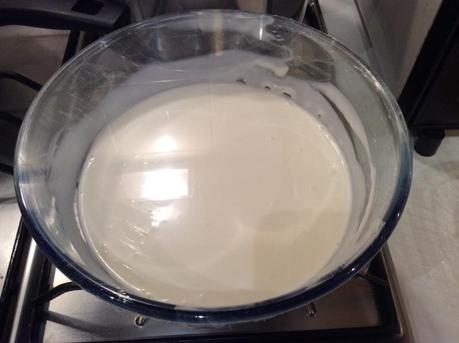 PANNA ACIDA /home/wpcom/public_html/wp-content/blogs.dir/8bc/60500751/files/2014/12/img_18681.jpg