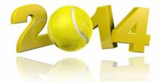 2014 tennis